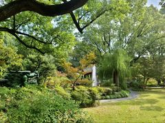 -申粤轩酒楼·三十年粤菜经典(丁香花园店)