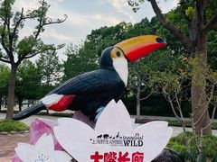-上海野生动物园