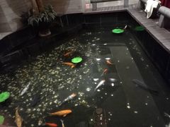 -久宴·天目湖大鱼头(恐龙园店)