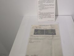 -成都失恋馆