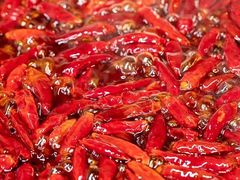 -大龙燚火锅(春熙店)
