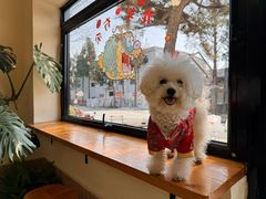 -小意思咖啡店(草桥店)