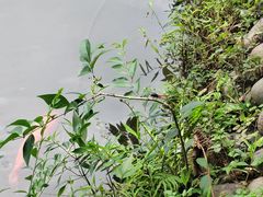 -成都杜甫草堂博物馆