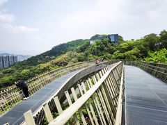 -福道