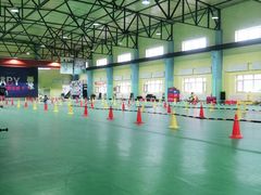 -长春乐奇平衡车儿童体能运动中心