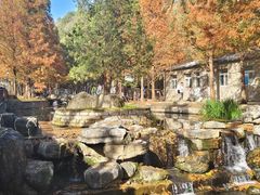 -白水寺森林公园