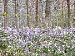 -山东大学(兴隆山校区)