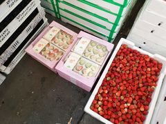 -西郊国际农产品交易中心