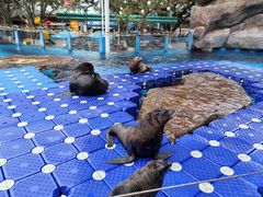 -海合安成都极地海洋公园