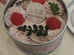 -山与蓝·轻糖鲜果蛋糕(勒泰店)