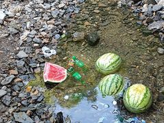 -石台牯牛降景区