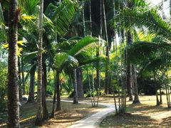 -中国科学院西双版纳热带植物园