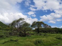 -卡塞拉自然公园