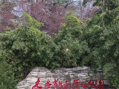 -木塔寺遗址生态公园