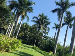 -亚龙湾喜来登·美景台大堂吧