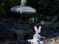 -广州兰圃