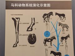 -大庆市博物馆