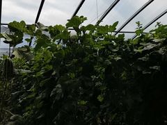 -京津新城温德姆至尊酒店(珠江大道店)