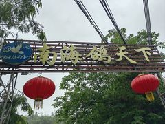 -南海鸽天下(肇庆店)