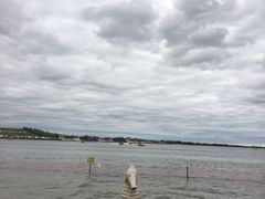 -呼兰河口湿地公园