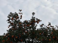 -杭州西湖风景名胜区-满觉陇四眼井