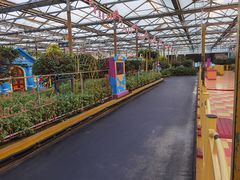 -南宫五洲植物乐园