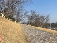-羊山湖公园