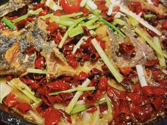 -老板恋上鱼(恒隆广场店)