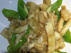 -九毛九西北菜(大东海店)