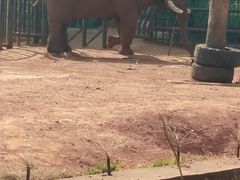 -昆明动物园