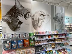 -KKV(深圳宏发大仟里店)