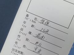-申普宠物医院(总院)