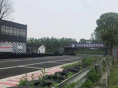 -杭州湾海上花田景区
