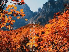 -周口店坡峰岭风景区