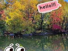 -上海吴淞炮台湾国家湿地公园