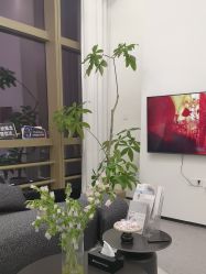 -JNK皮肤管理中心