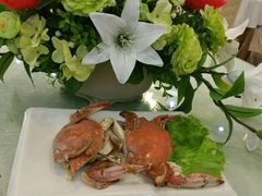 android_upload_pic-老虎滩船说·海胆水饺·大连海鲜(老虎滩店)