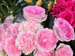 -FEI FEI FLOWER鲜花店·气球派对·宝宝宴布置(虹口德必运动Loft店)