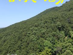 -铁山坪森林公园