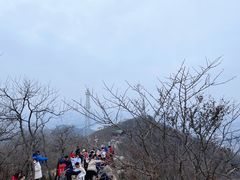 -紫金山山顶公园