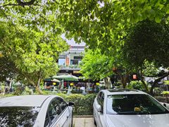 -阿巧茶庄