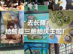 -广州长隆野生动物世界