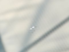 -福耀汽车玻璃(浦东店)