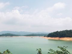-广州市流溪河国家森林公园