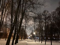 -滴血救世主教堂