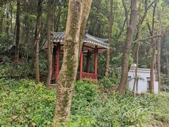 -天鹿湖森林公园
