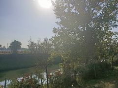 -嘉北郊野公园