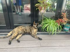 -EATALIA意塔利意式餐厅(鼓楼店)