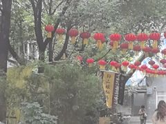 -泡桐树孙二娘私房菜