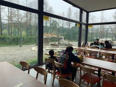 -上海野生动物园老虎餐厅